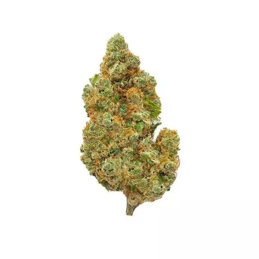 Amnesia Haze CBD – Big Bud – Indoor Hydro ( x 2g )