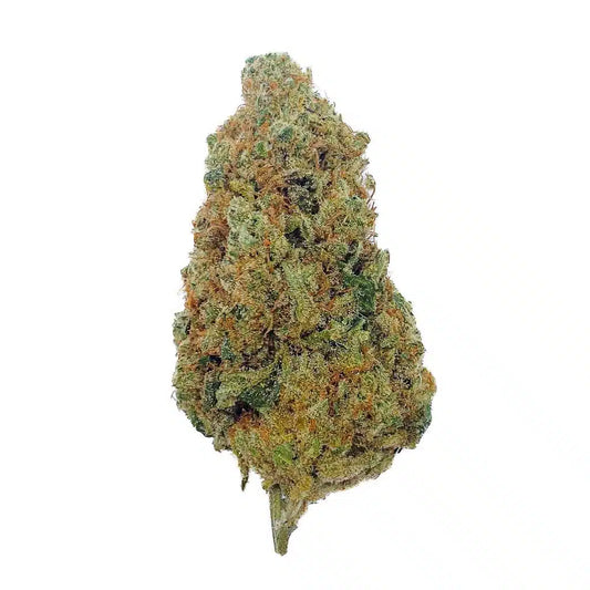 Zushi CBD – Big Bud – Indoor Hydro ( x 2g )